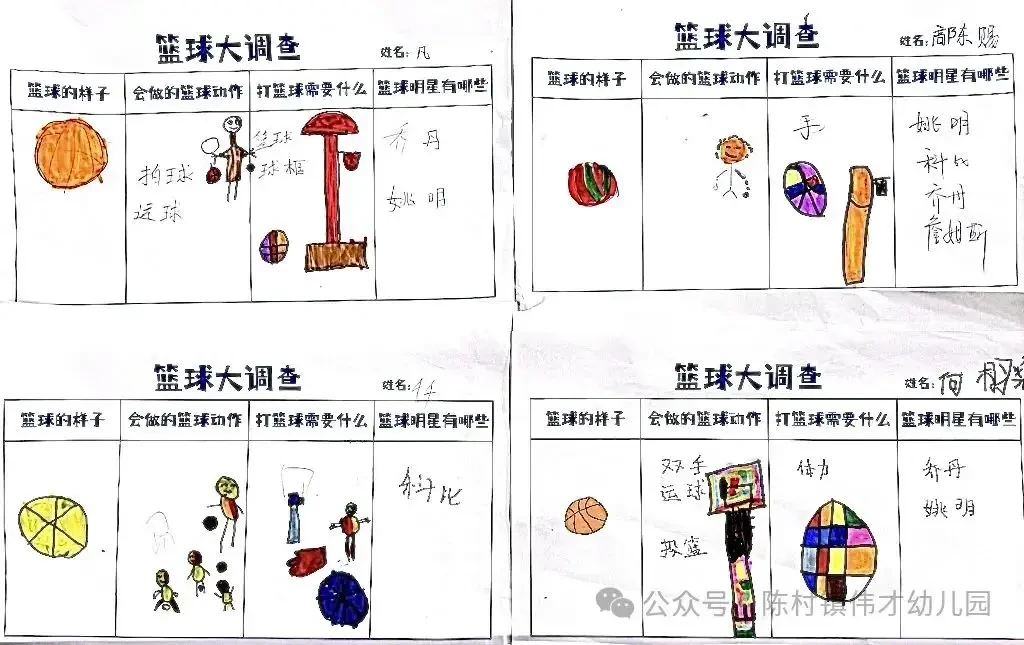 学生篮球运动员如何利用数据分析平衡学业与训练